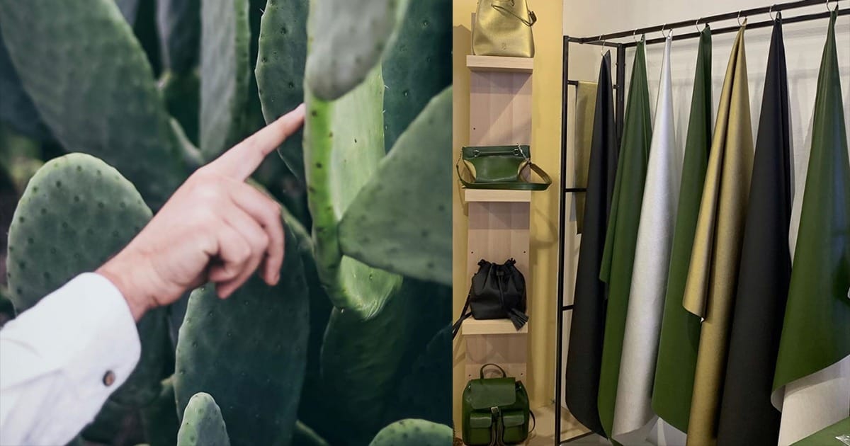 Cuero de Cactus: El nuevo lujo sostenible 1 Cuero de Cactus: El nuevo lujo sostenible 1